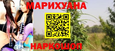 дмт Дубна