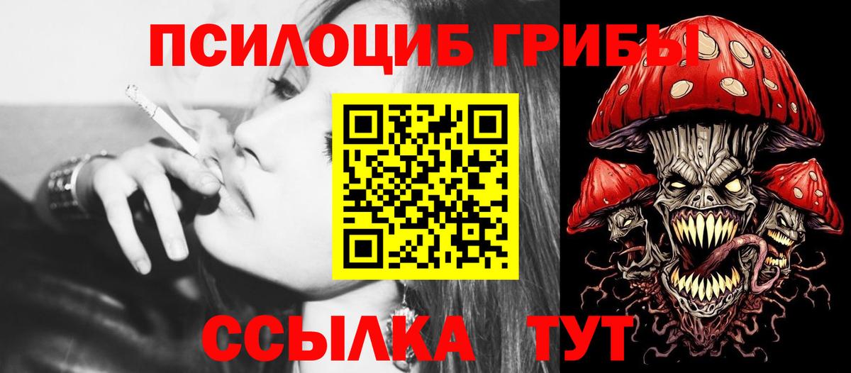 Псилоцибиновые грибы прущие грибы Новокубанск
