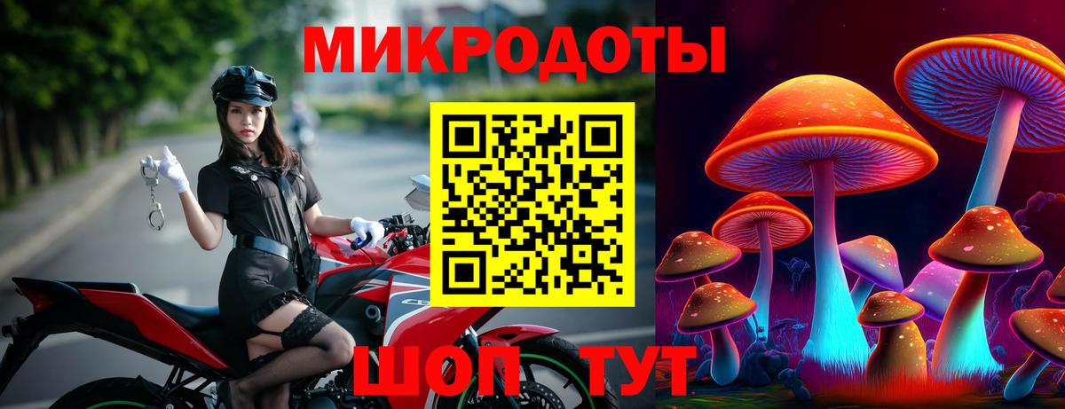 Новокубанск  Галлюциногенные грибы Psilocybine cubensis  Вход с VPN 